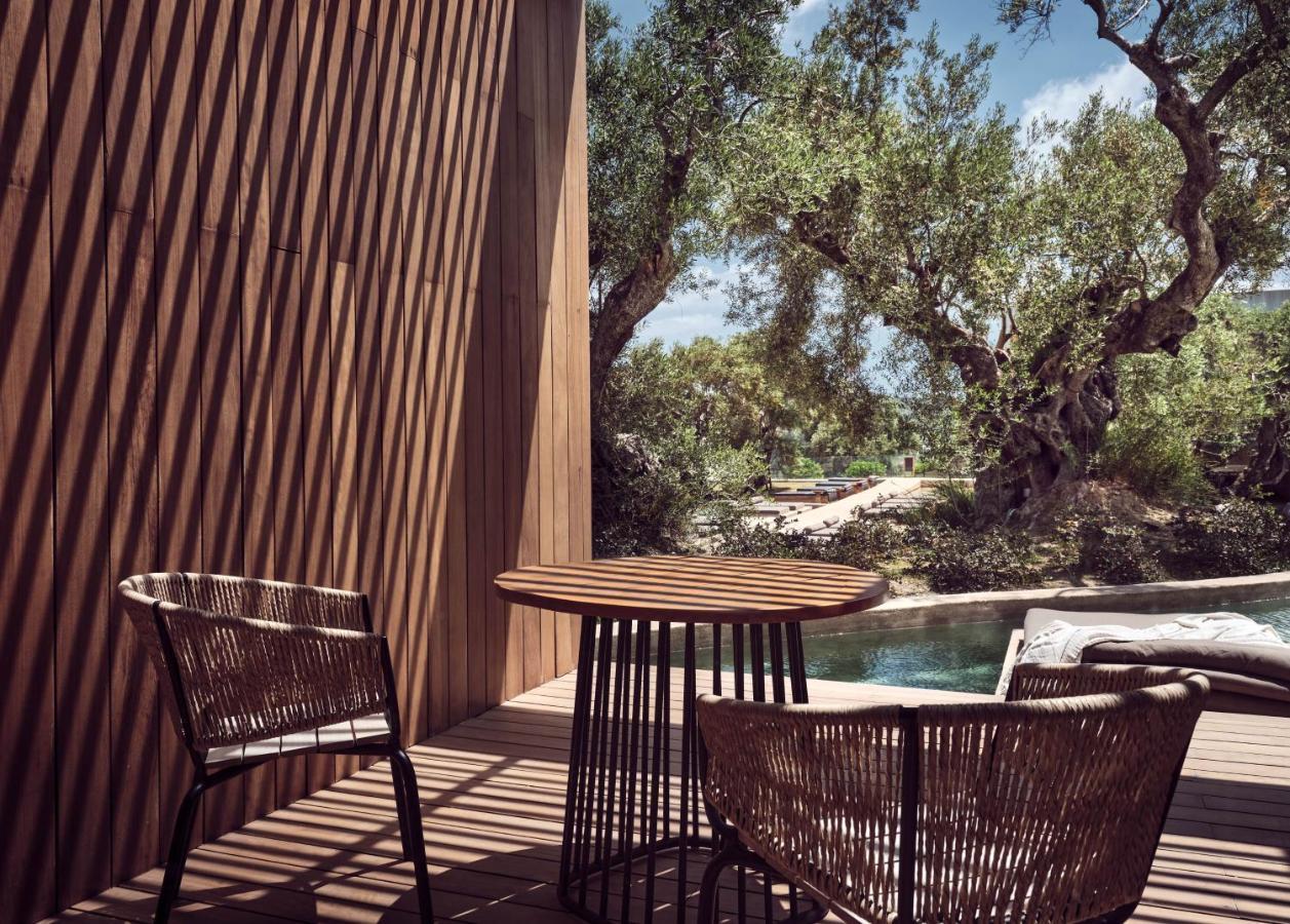 Olea Hotel, A Member Of Design (adults Only) Hotell Tsilivi (Zakynthos)