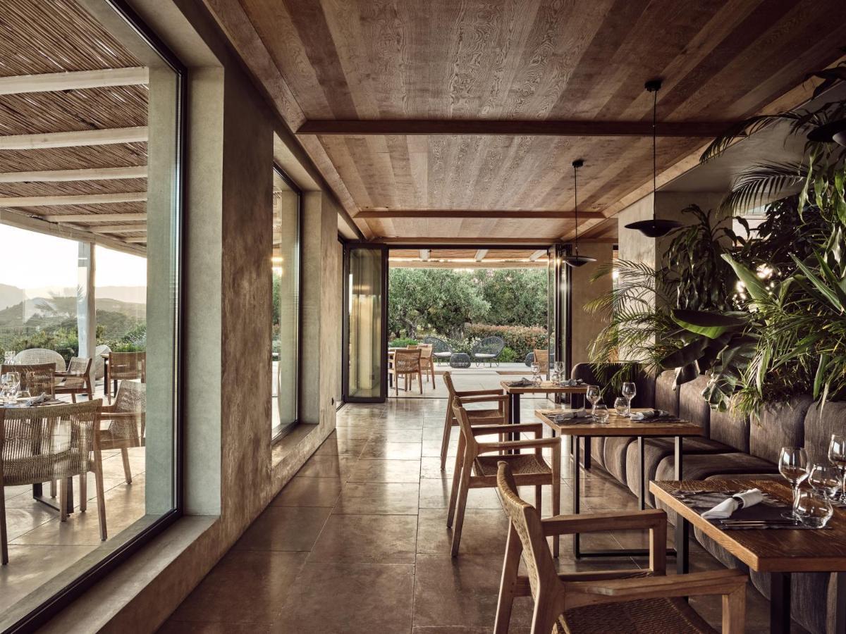 Olea Hotel, A Member Of Design (adults Only) Hotell Tsilivi (Zakynthos)